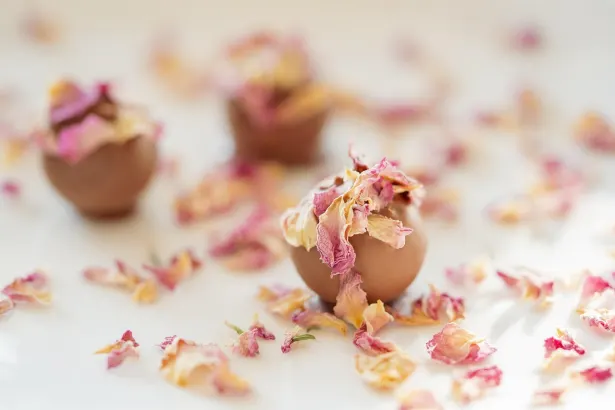 Moon Casino Application Android/iOS